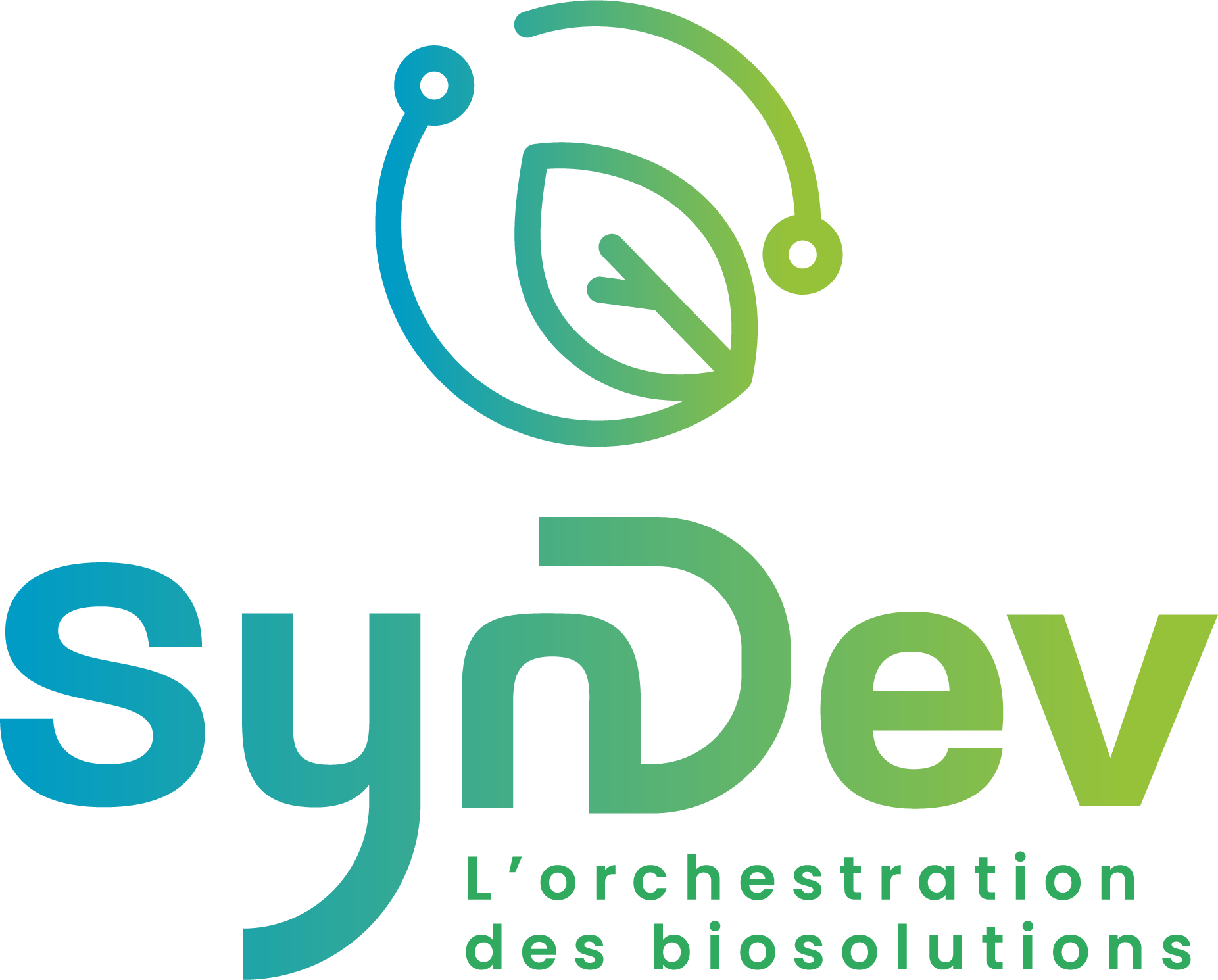 Logo de la société SynDev